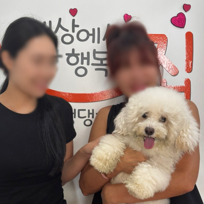밥푸리 집 갔어요 ♥