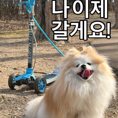 두유 입양 확정 ♥